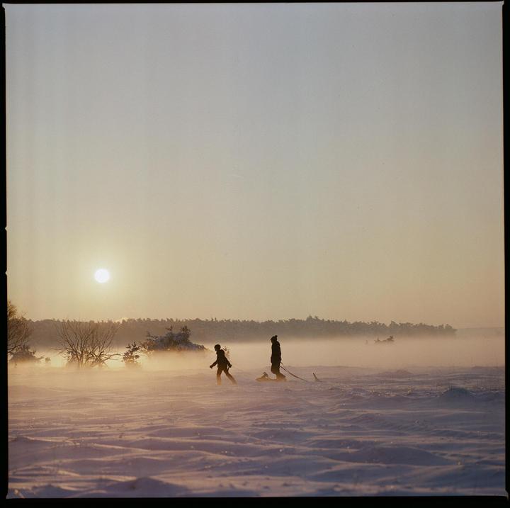 into the fog, 12/22 [Hasselblad 500 C, 150 f/4, Portra 400]