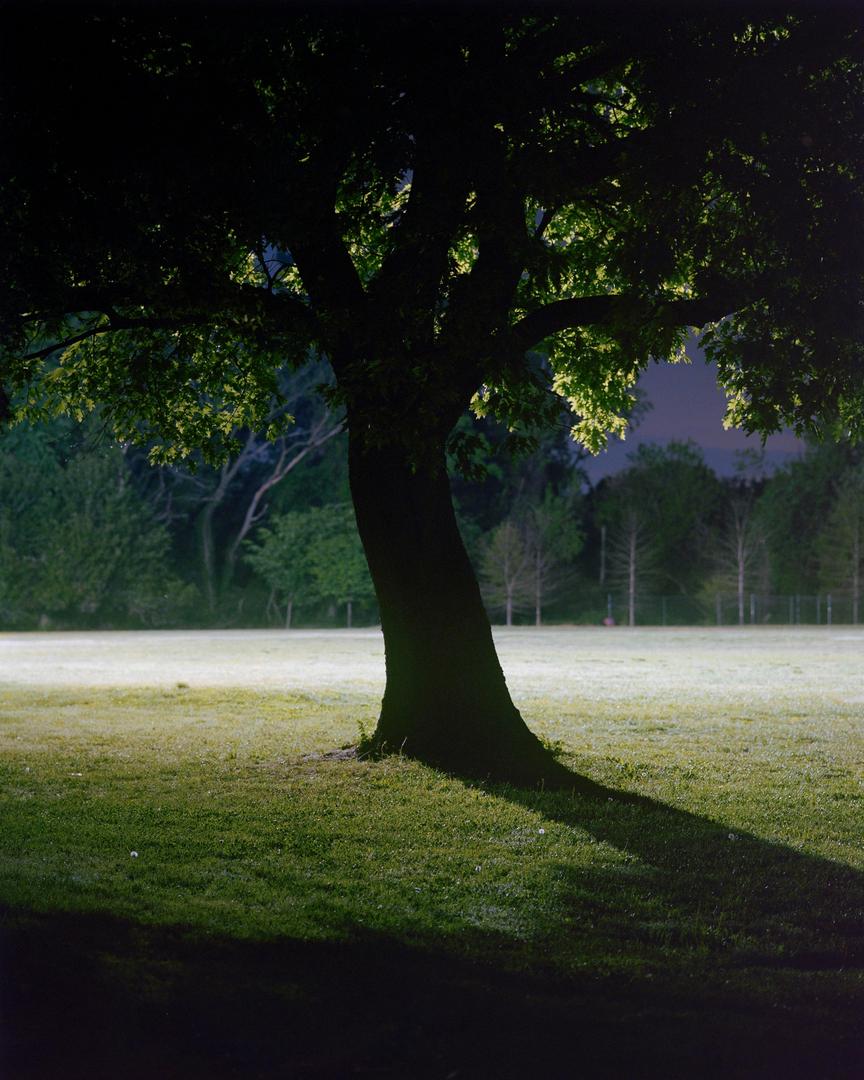 Some people gravitate to cars, basketball hoops, and motels.. I seem to gravitate to trees. Various cameras - Mamiya RB67, Olympus OM1n, Contax G1, Nikon L35AF, Yashica Mat 124G, shot on mamiya rb67 with kodak portra 400