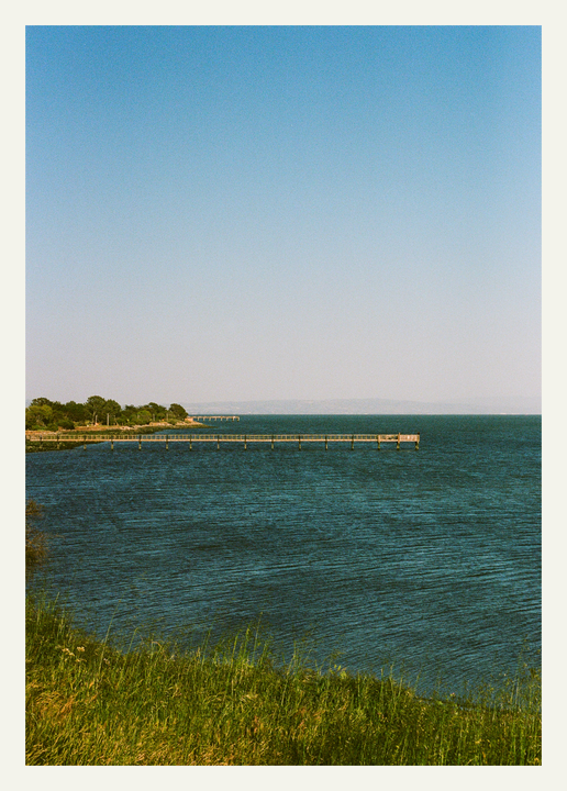 A long wooden pier extends into a bay with green grass in the foreground and a tree-lined shore in the distance.