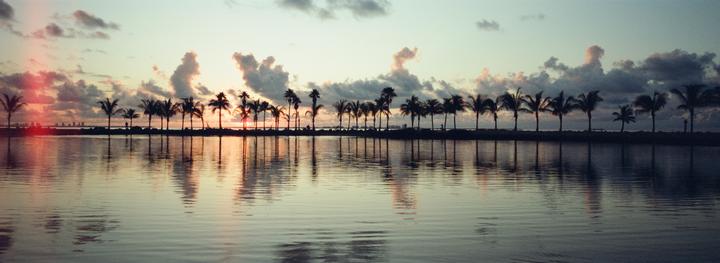 Miami [Fuji TX-1 | 45mm | Cinestill 400D]