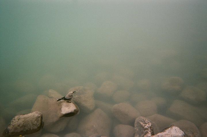 More shots from FujiFilm Disposable Camera.