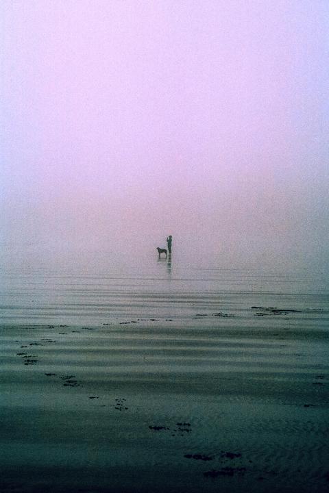 The Mist [Canon EOS 1V, EF 24-105mm F4L, Kodak Portra 400]