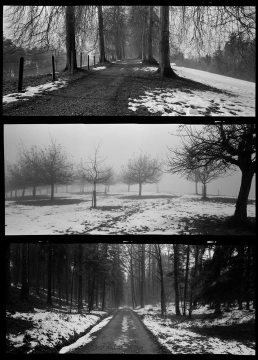 first roll with my "tuned" holga 120pan [90mm angulon, kentmere 400 +1]