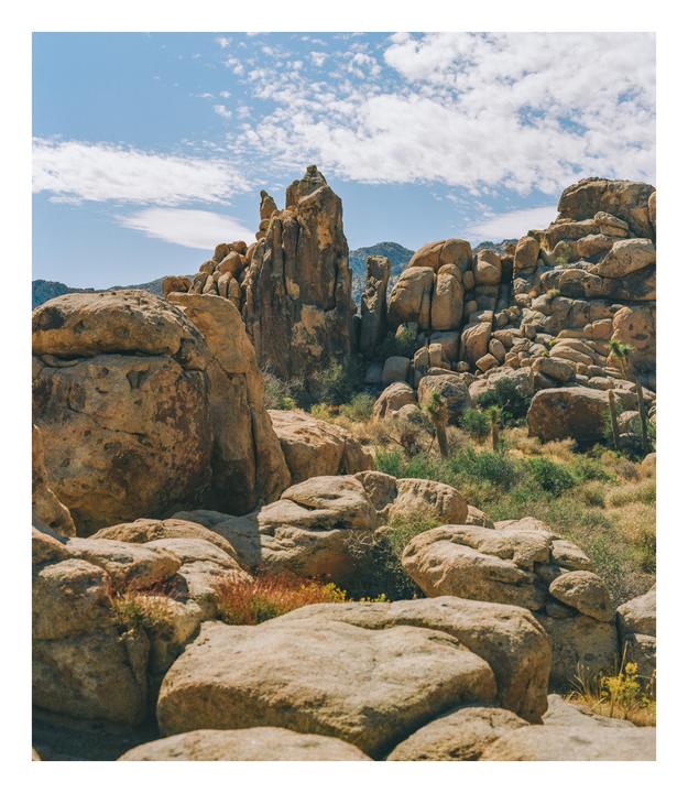 Boulder field - Pentax 6x7 105 - Kodak Gold