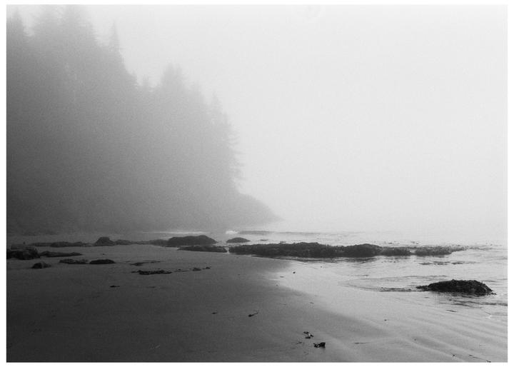 A foggy beach with trees on a cliff is visible on the left.