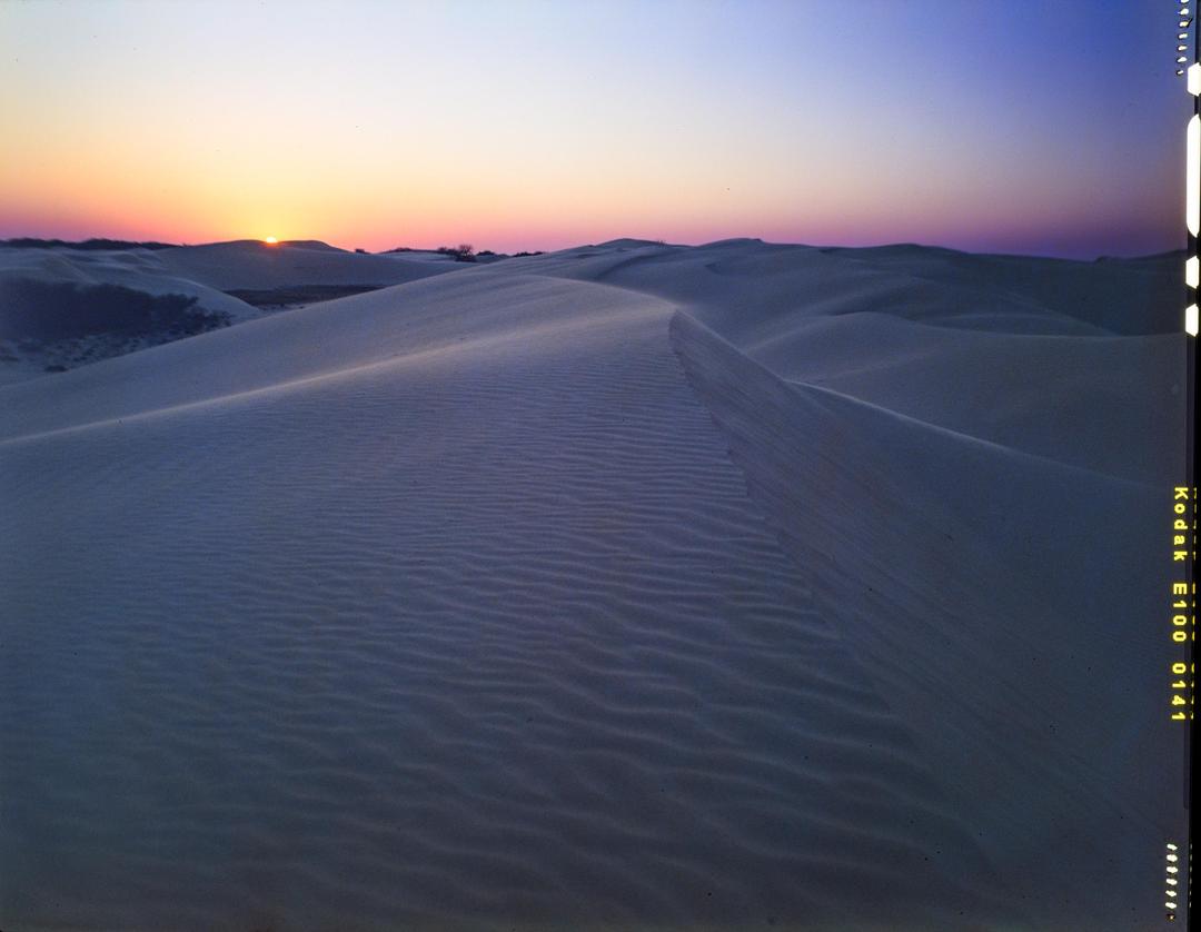 South Texas Sand Dunes | Speed Graphic 4x5 | GRANDAGON MC 90MM F4.5 | E100