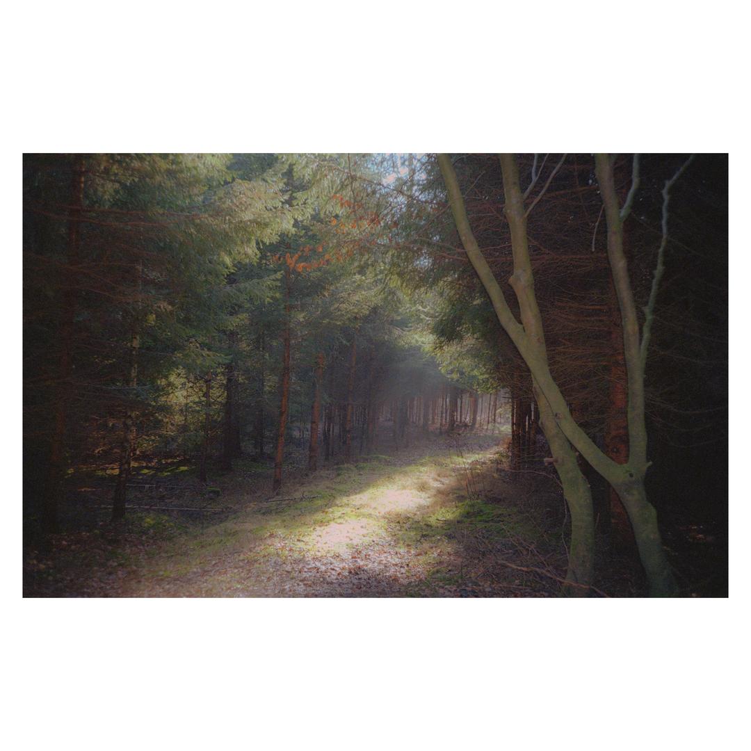 image 36306 by analoguevibez