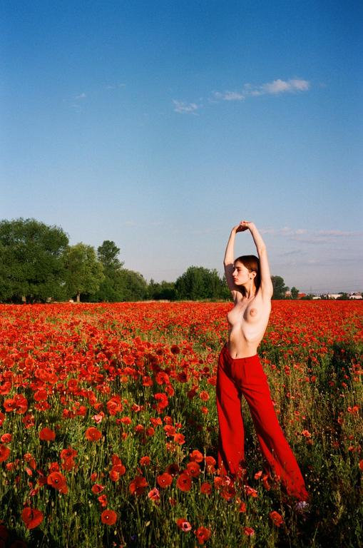 image 4222 by elcansky
