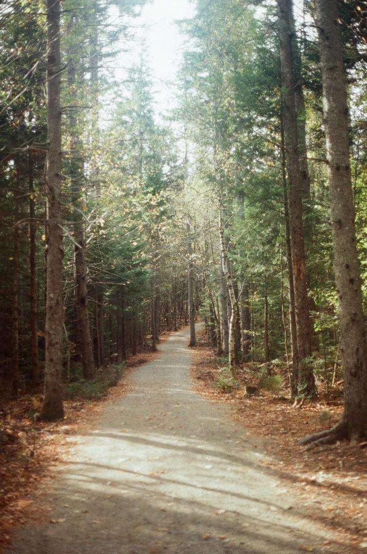 image 35804 by Spiritual-Anteater