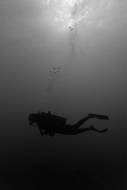 First time shooting film underwater. Nikonos V 20mm. T-Max 400 (shot at 800)