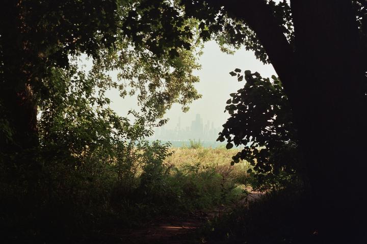 A selection of my favorite shots from my first two rolls of film!
