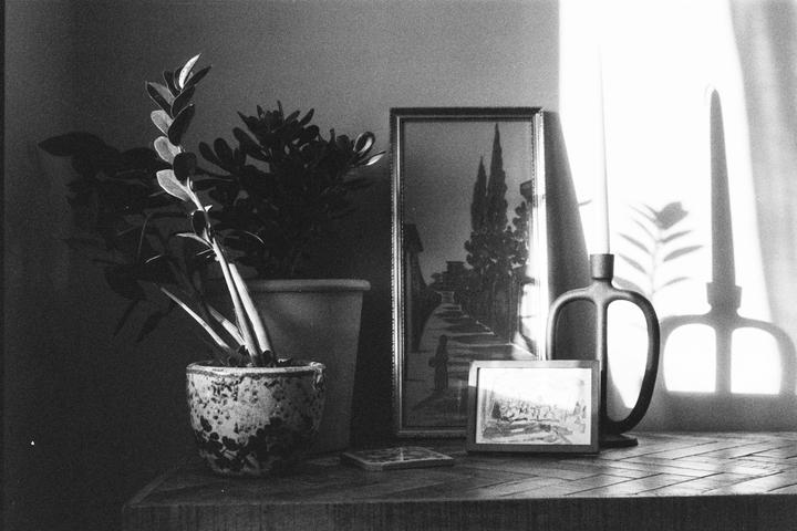 Been shooting digital for just over 6 months now and shot my first roll of film (fomapan 400, Nikon FE) - feedback appreciated!