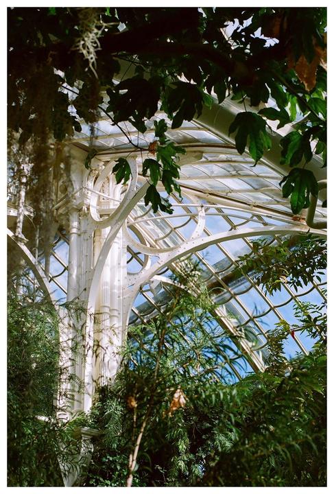 Palmenhaus in Vienna [Nikon F2 / 50mm 1.4 & 28mm 3.5 / Portra 800]