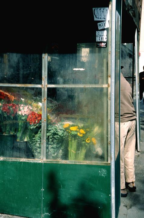 Flowers [Nikon F5, 28-200 3.5-5.6, provia 100f]