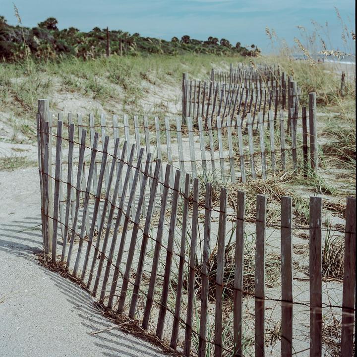 A wooden fence runs along a sandy path next to a beach with tall grass and palm trees.