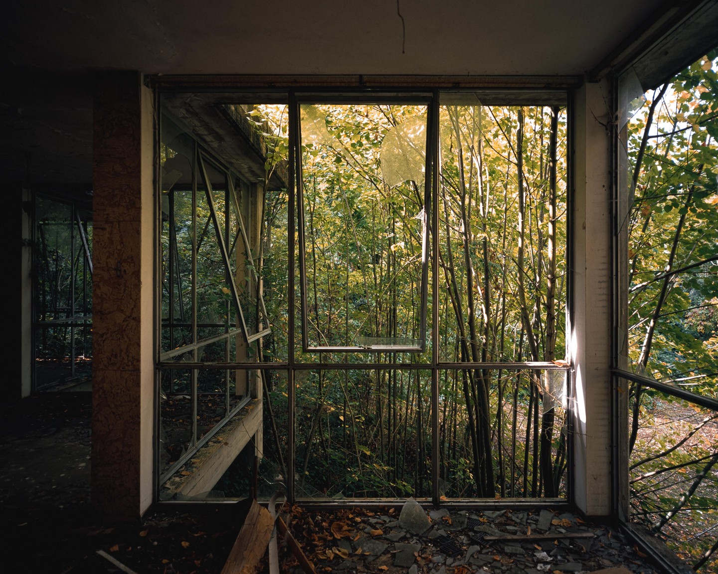 A large window with broken panes looks out onto a dense forest from inside an abandoned building.