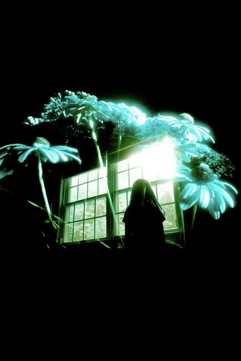 The Secret Garden: my first fully realized concept series!Nikon F5–Lomochrome Turquoise @200