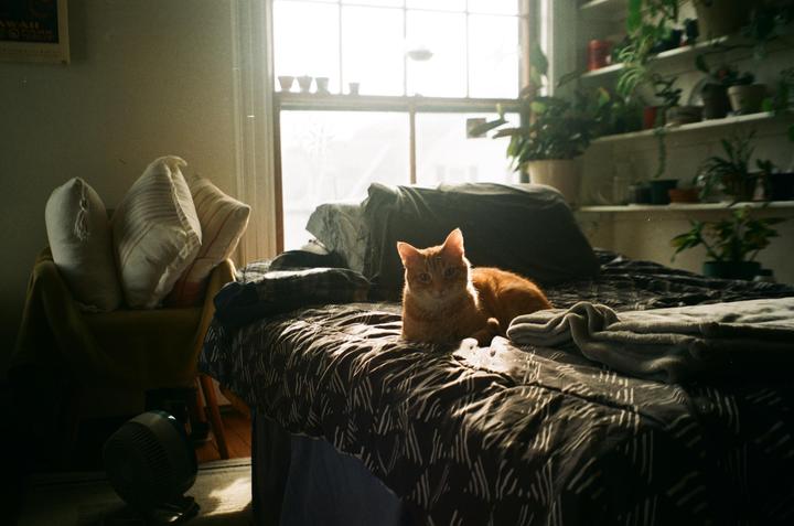 Kevin! :) | Olympus Stylus | Fuji 100