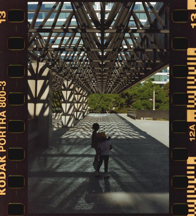 La Brea Tar Pits | Portra 800 | Nikon 6006