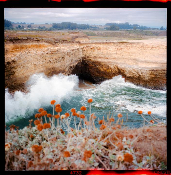 Santa Cruz County | Mamiya 6 75mm Cinestill 400D