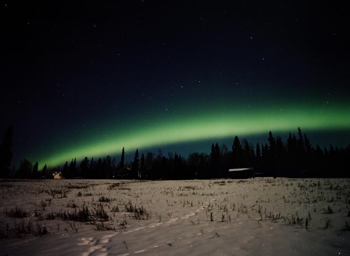The aurora borealis glows green above a snowy field and a dark forest at night.