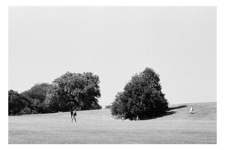 A group of people are walking on a grassy hill with trees in the background.