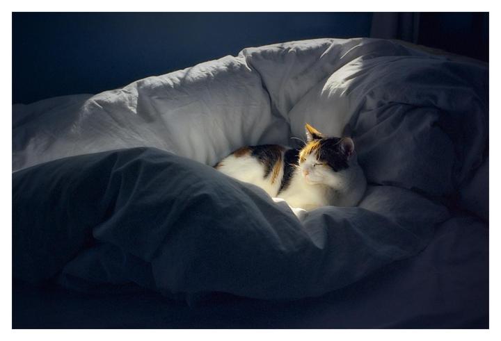 Comfort [Leica M6, Voigtlander 35mm f/2.5 Skopar, Kodak 500T]