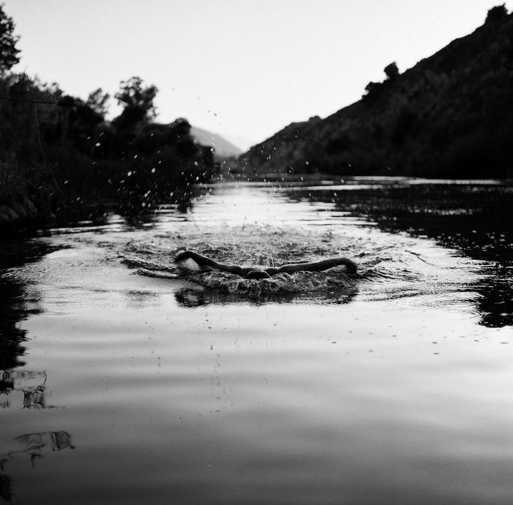 Butterfly | Rolleiflex 2.8F 80mm f2.8 | Kodak T-max 100