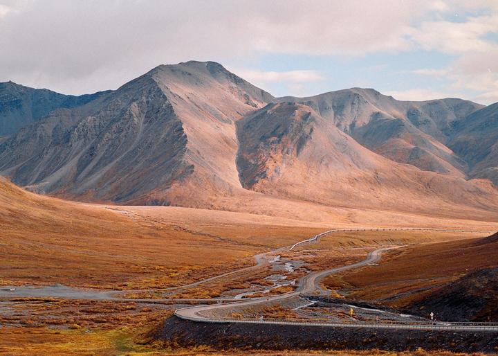 Fall on the North Slope [Minolta XG-M, Rokkor 50mm f/1.7, Fuji Superia]