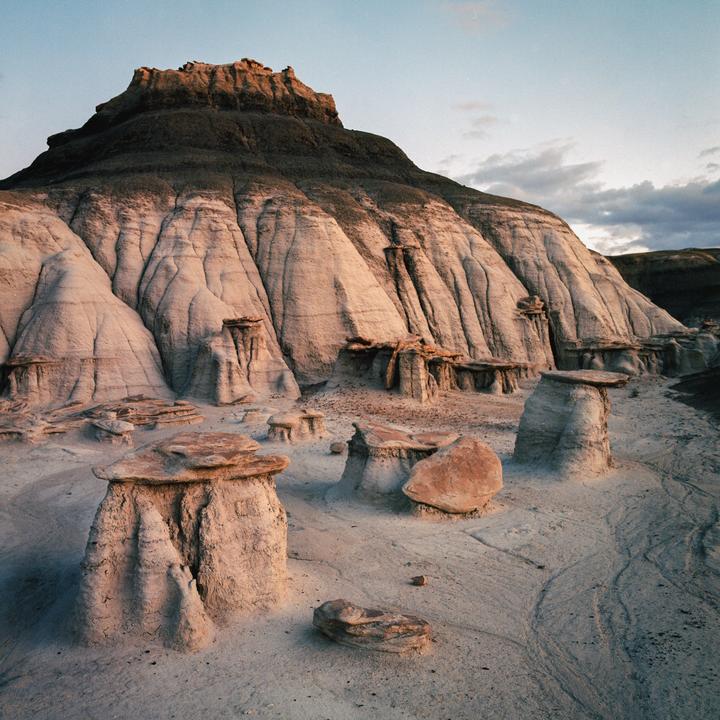 Some Strange Country | Hasselblad 500CM | Ektar 100