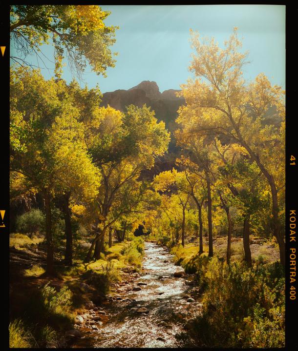 Grand Canyon National Park · Mamiya 7ii 80MM · Kodak Portra 400