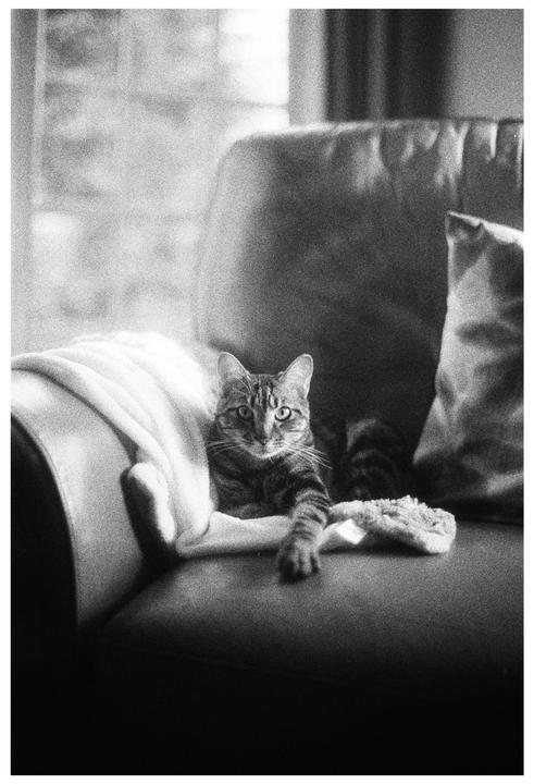 Beau [Pentax K1000, SMC 50mm f/1.2, Ilford Delta 3200] ND8 + Pro Mist 1/2