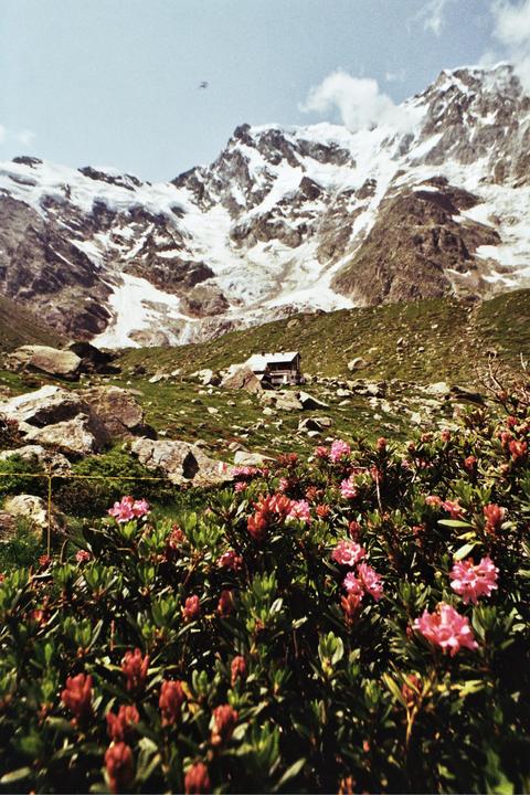 Hiking in the heart of the Italian Alps - Fujica st801, Fuji200 and various lenses
