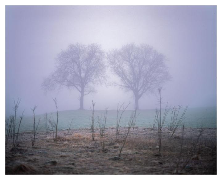 Misty Morning [Pentax 67 / 105mm / Velvia & Provia]