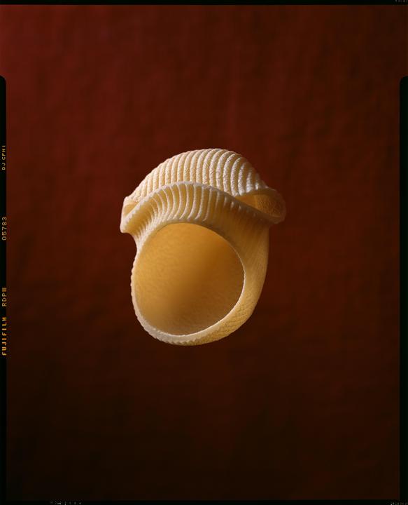 l’urlo del lumacone // Intrepid 4x5 // Fuji Provia 100f