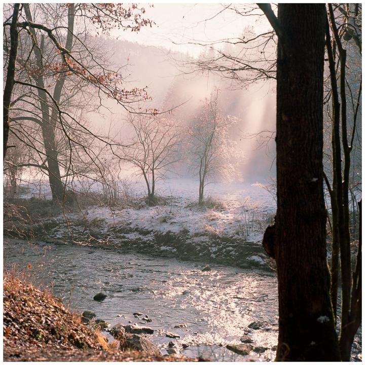 end of winter walk (Bronica EC-TL | 75mm f/2.8 | exp. Portra 160)