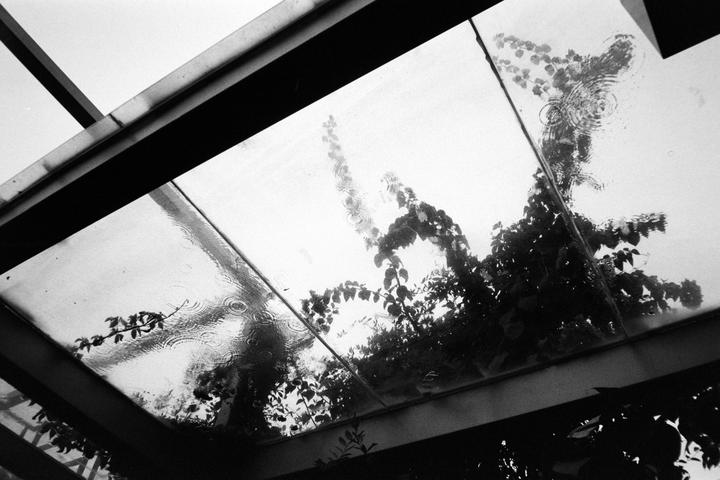 Kodak Double-X