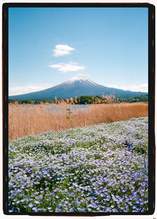 Fuji | Leica MP | Kodak Ultramax | 28mm Thypoch