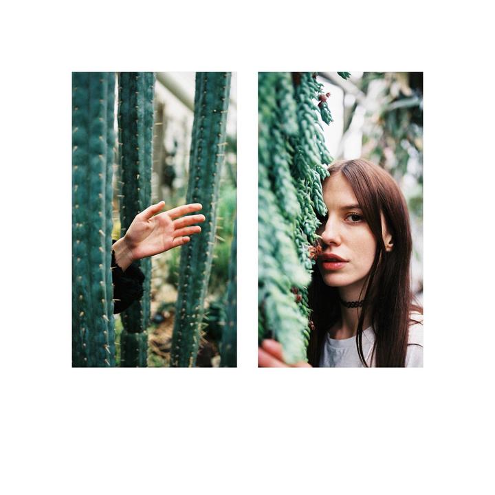 Some expired Tudor color film, absolutely dream!