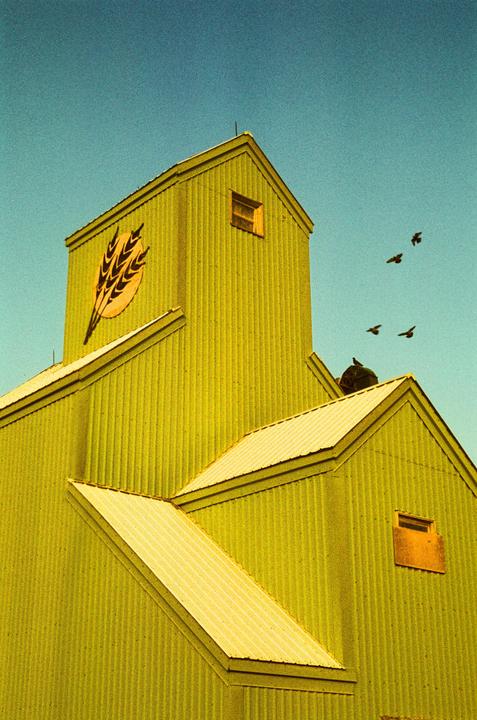 Grain Elevator ~ [nikon f100, 50mm f/1.8, harman phoenix 200]