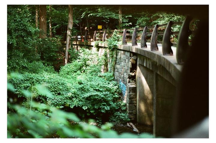 A walk through the park [Nikon FM2/T, Kodak Gold 400, 50mm f1.8]