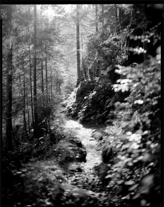 Fomapan 100
