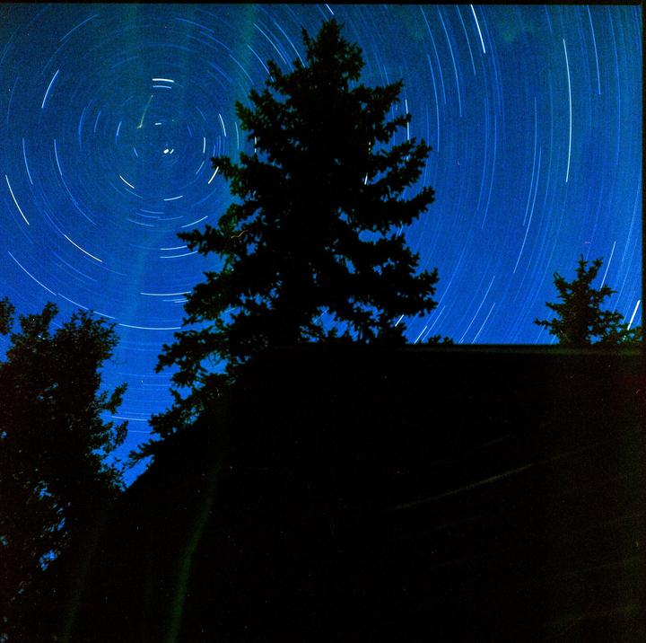 Any idea what these green drips are? 100 minute exposure with kodak ektar 100