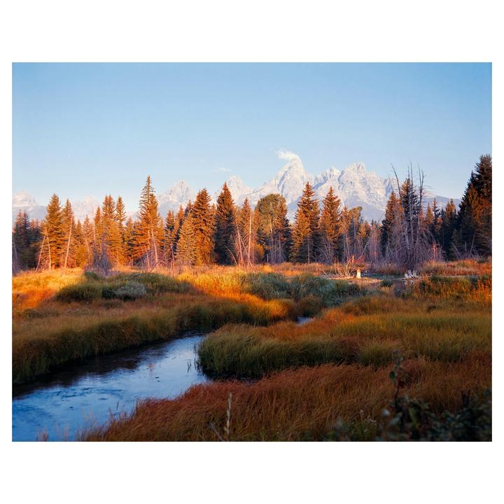 Life Out West [Pentax 6x7 / Hasselblad 500cm — kodak ektar 100, kodak gold 200, kodak portra 160]