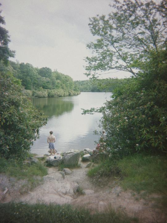 Who says disposable cameras can’t take good pictures?