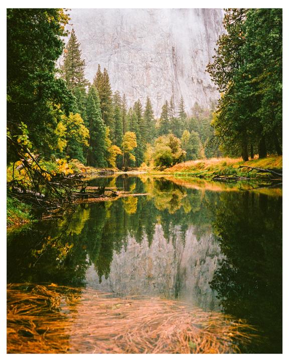 autumn in yosemite | minolta CLE + m-rokkor 40mm | portra 400