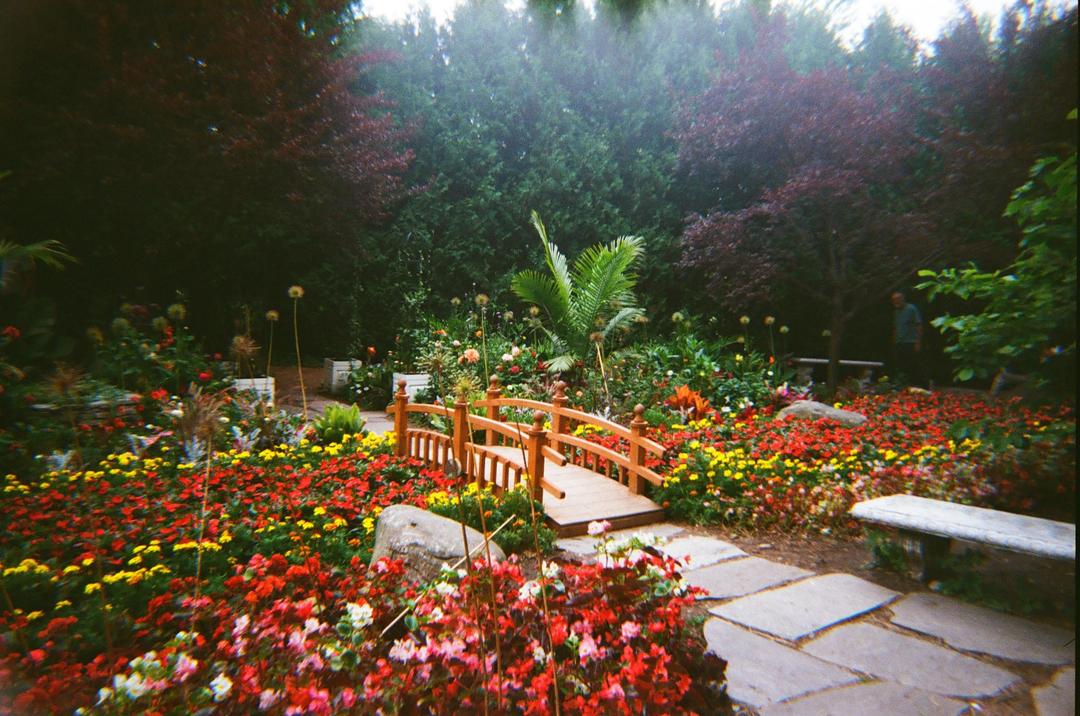 image 35816 by deeznutsorwhatever