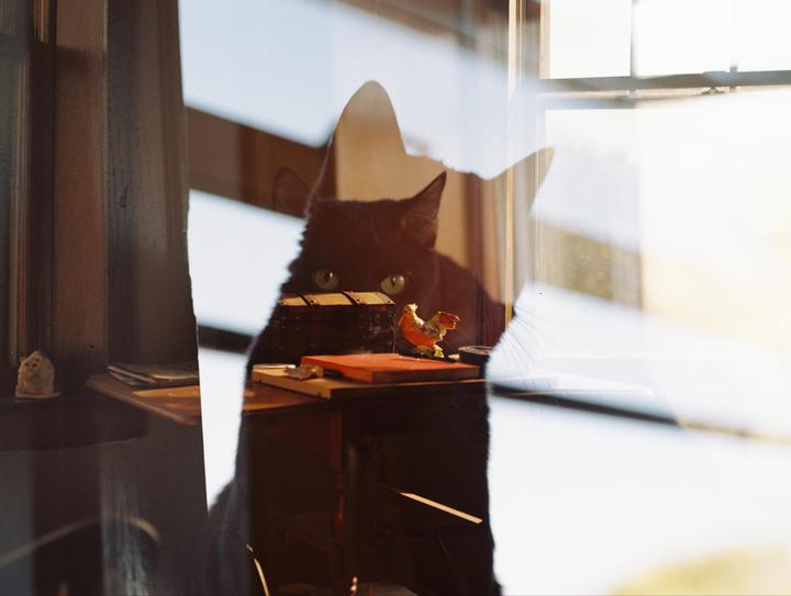 A black cat with green eyes is visible through a window, with a small chest and a chicken figurine on a table.