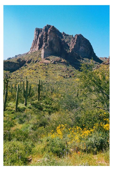 Gold Canyon [Leica M6, Zeiss 50mm f2, Portra 400]