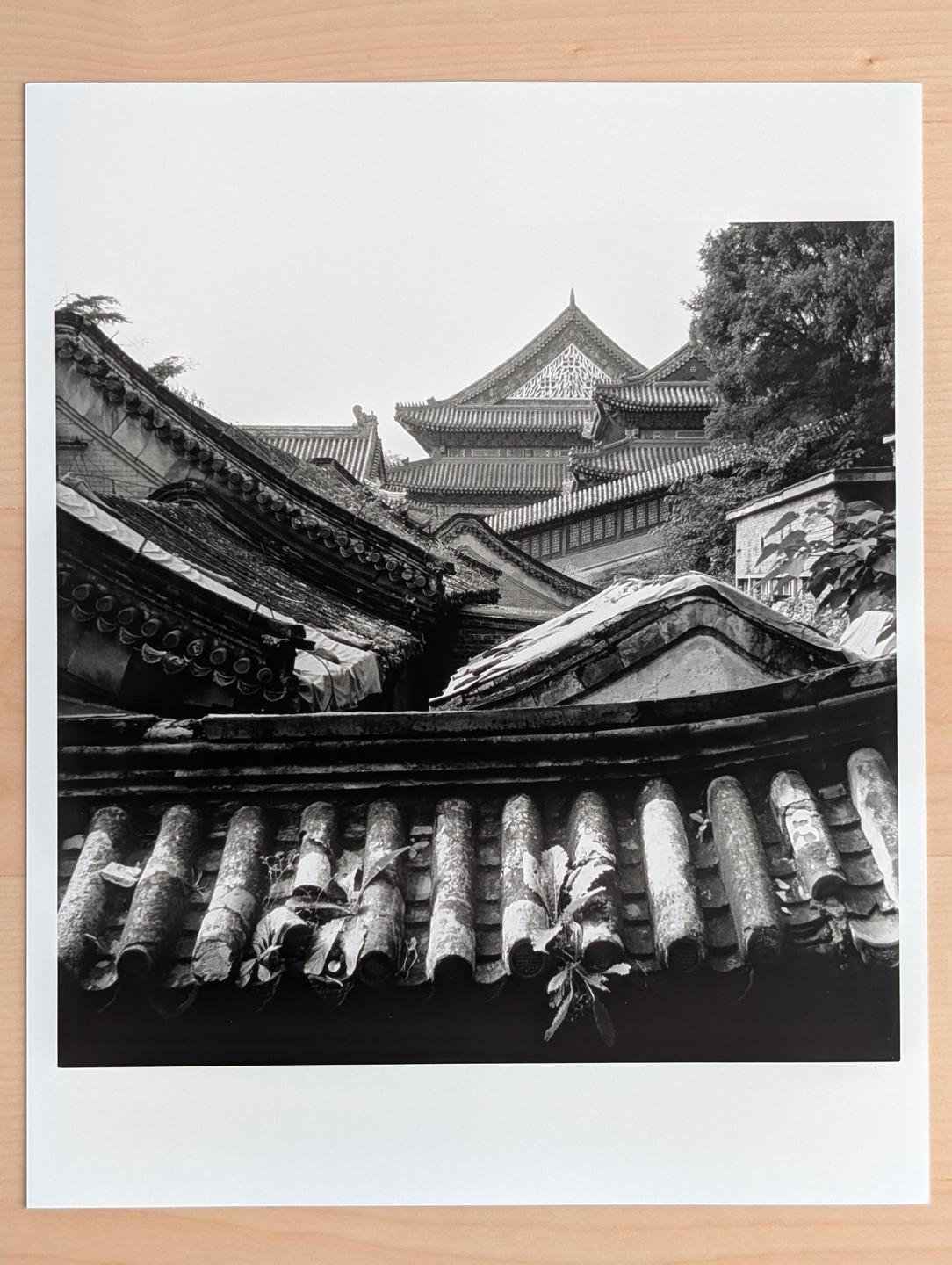 image 35861 by CilantroLightning